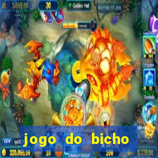 jogo do bicho natal rn